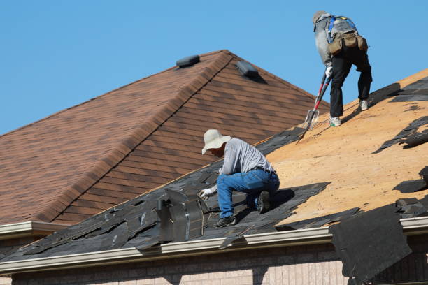 Best Roofing for New Construction  in Northumberland, PA